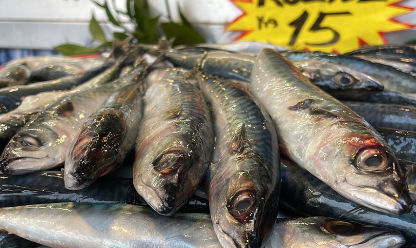 Alıcı da satıcı da mutlu! Kilosu 15 lira olan kolyoz balığı dikkatleri üzerine çekti!