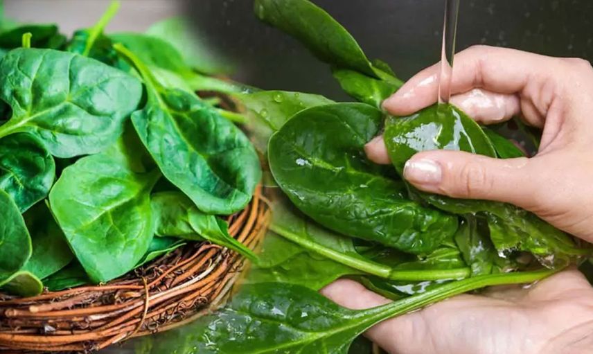 Kinder’den sonra şimdide ıspanakta salmonella tehlikesi: Hemen iade edin sakın tüketmeyin