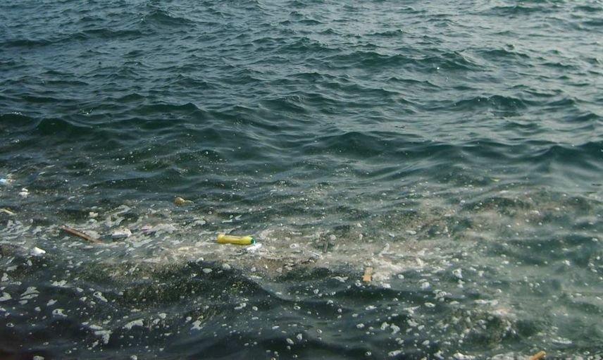 Kirlilik sorununa 'Süper solucanlar' çözümü! Plastik yiyen solucanlar geri dönüşümde devrim yaratabilir
