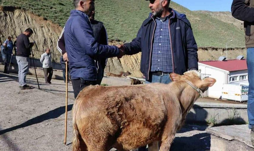 Kırşehir kurbanlık fiyatları ne kadar? 2022 Kırşehir büyükbaş, küçükbaş kurbanlık hisse fiyatları