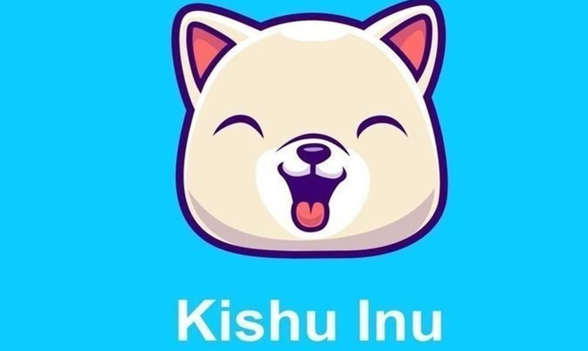 Kishi koin güvenilir mi? Yatırım yapılır mı? Geleceği var mı? Kishu Inu uzman yorumu