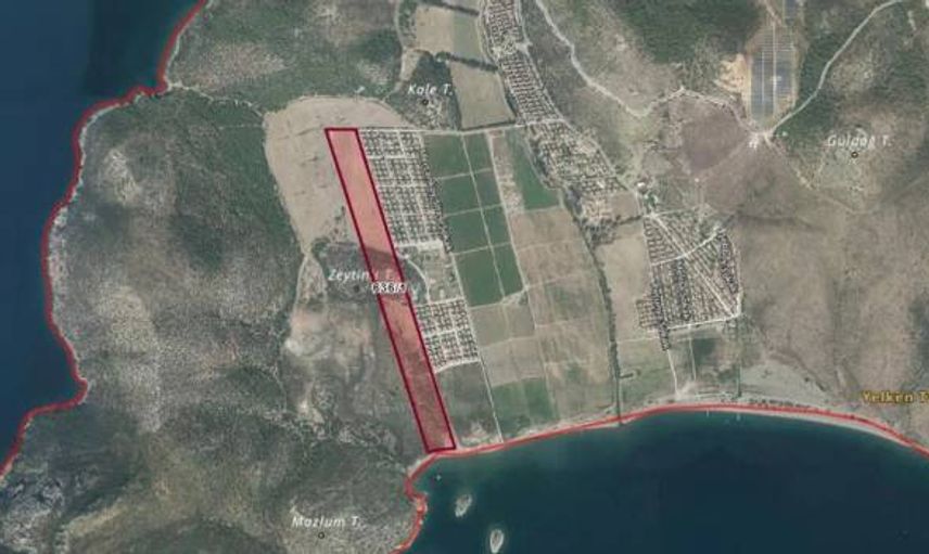 Kızılay, 120 bin metrekare zeytinlik tarla satıyor