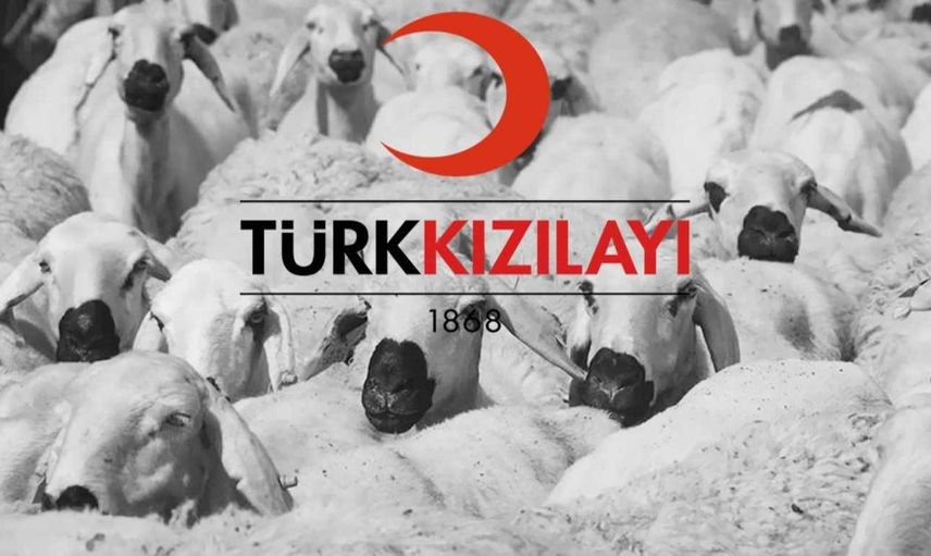 Kızılay 2022 Yurt içi, yurt dışı kurban bağışı kaç TL? Kızılay kurban bağış parası hangi banka şubelerinden yatırılır?