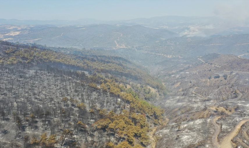 Koca Bir Orman Yok Oldu:  Yangınların Yürek Yakan Görüntüleri...