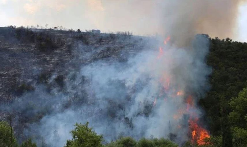 Kocaeli’nde korkutan orman yangını: Olay yerine çok sayıda ekip sevk edildi