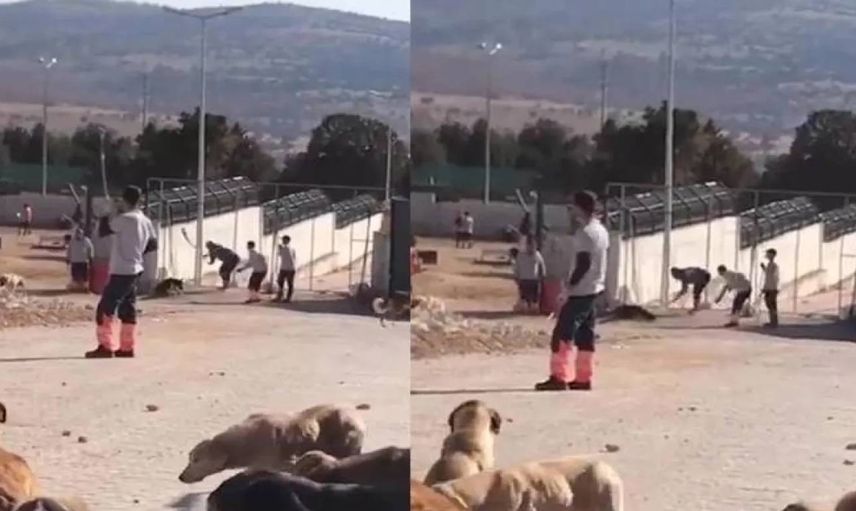 Konya’daki barınak görüntüleri tepki seline yol açmıştı: Hayvanlara işkence eden kişiler tutuklandı
