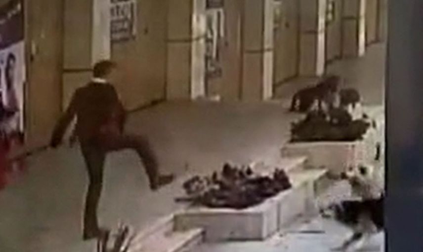 Köpek saldırıları bitmek bilmiyor: İstanbul'da 8 yaşındaki Ömer nerdeyse canından oluyordu!