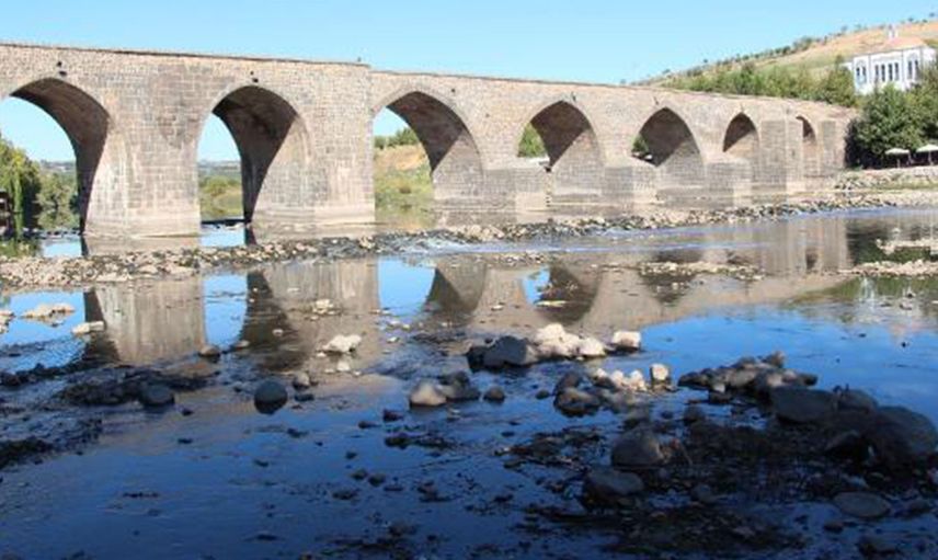 Kuraklık Nedeniyle Dicle Nehri’nde Su Seviyesi Azaldı! Balıklar Kıyıya Vurdu