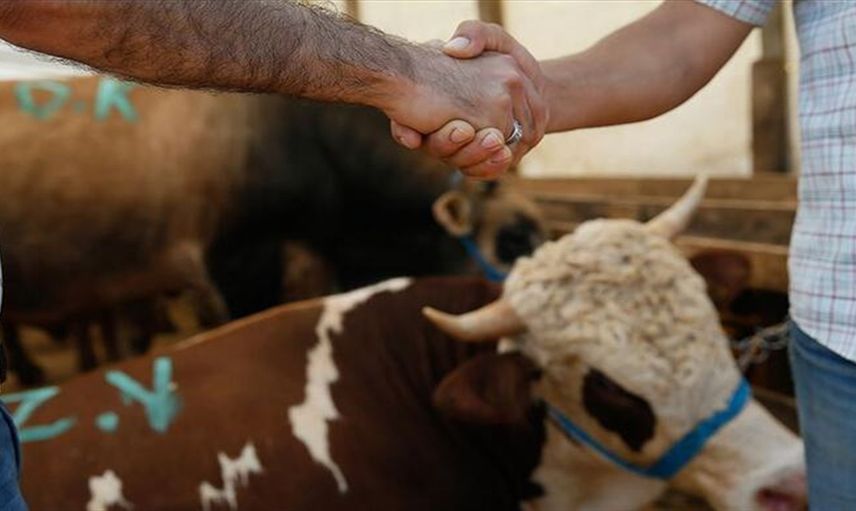 Kurban bayramı ne zaman, hangi tarihte? Kurban bayramı tatil tarihleri belli oldu mu?