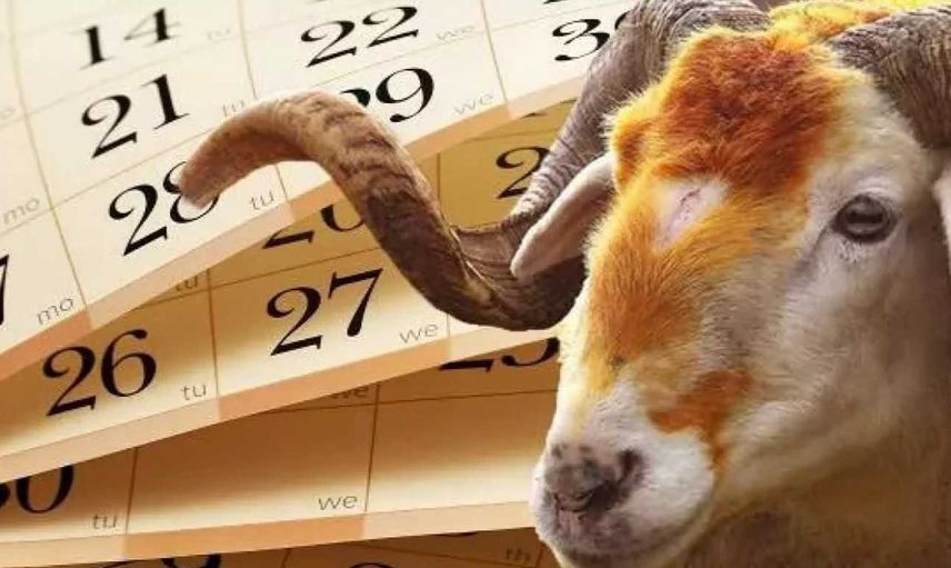 Kurban bayramı tatili 9 gün olur mu, olacak mı? Kurban bayramı tatil kararı ne zaman açıklanır?