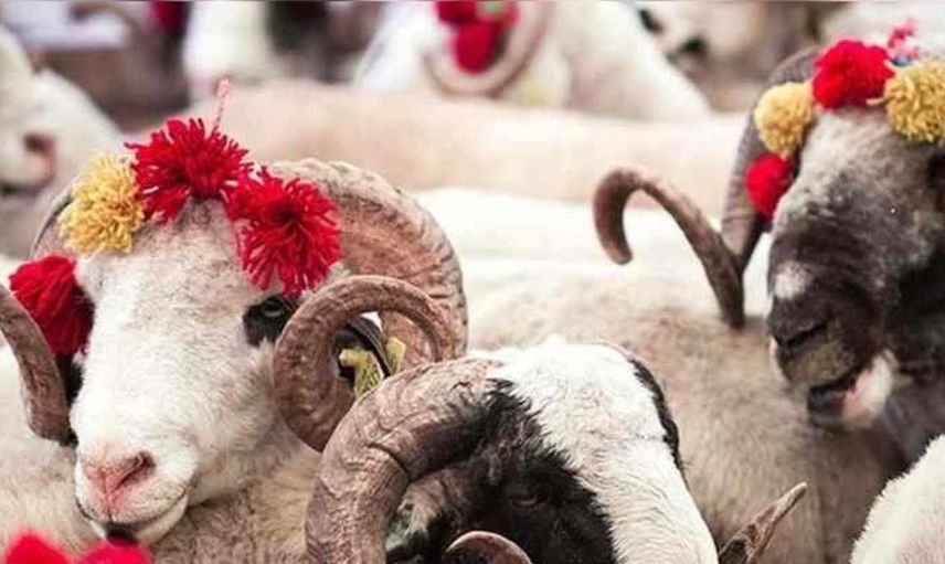 Kurban Bayramı tatili ne zaman, hangi tarihte başlıyor? Kurban Bayramı 2022 ne zamana denk geliyor?