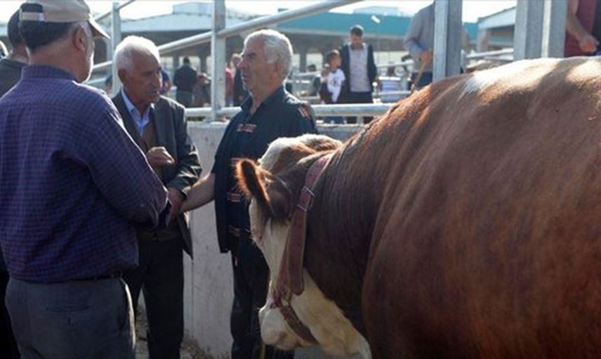 Kurban Satış ve Kesim Yerlerinde Alınacak Tedbirler Açıklandı