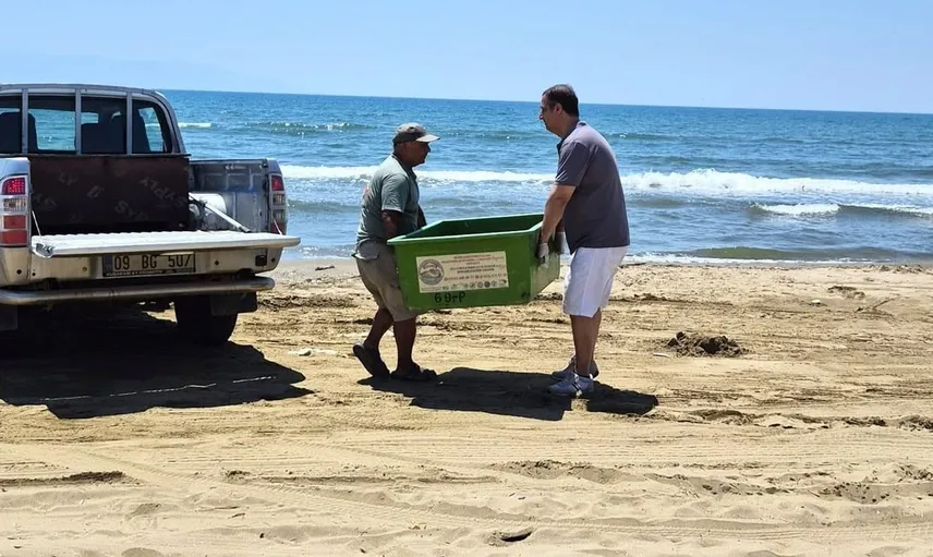 Kuşadası'nda üreme dönemi için gelen 3 caretta caretta'nın ölümü