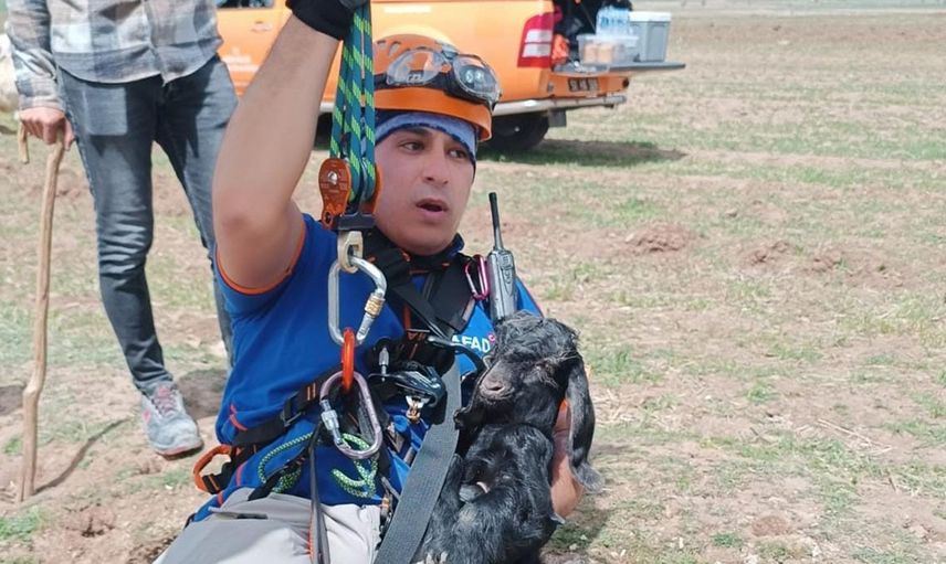 Kuyuya düşen oğlağı AFAD ekipleri kurtardı!