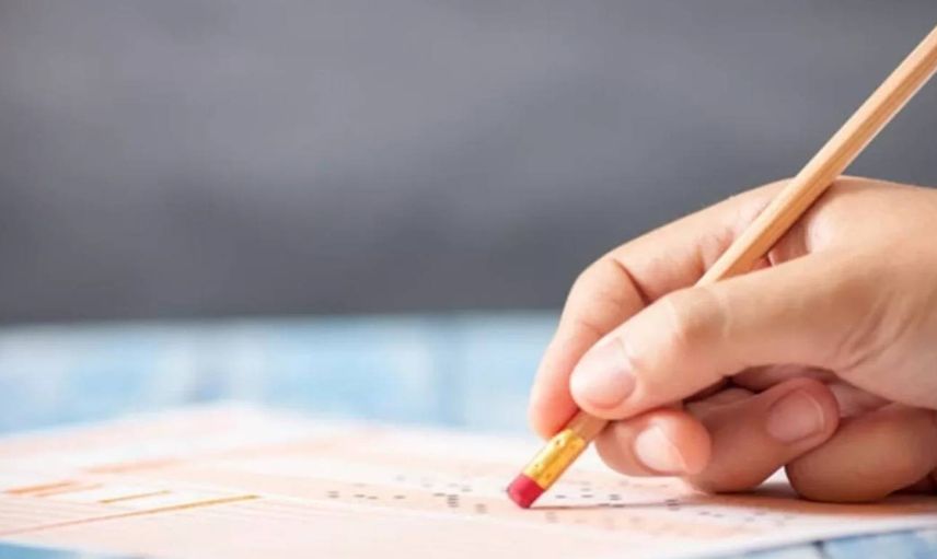 LGS yerleştirme sonuçları nereden öğrenilir? LGS sonuçlarını öğrenmek için şifre gerekli mi? 2022 LGS yerleştirme sonuç ekranı