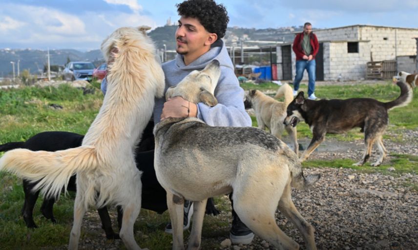 Lübnanlı Genç, Saldırılar Altındaki Bölgelerde Hayvanları Kurtarıyor