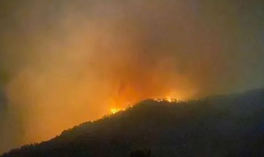 Manavgat’ın Ardından Gazipaşa’da da Orman Yangını Başladı