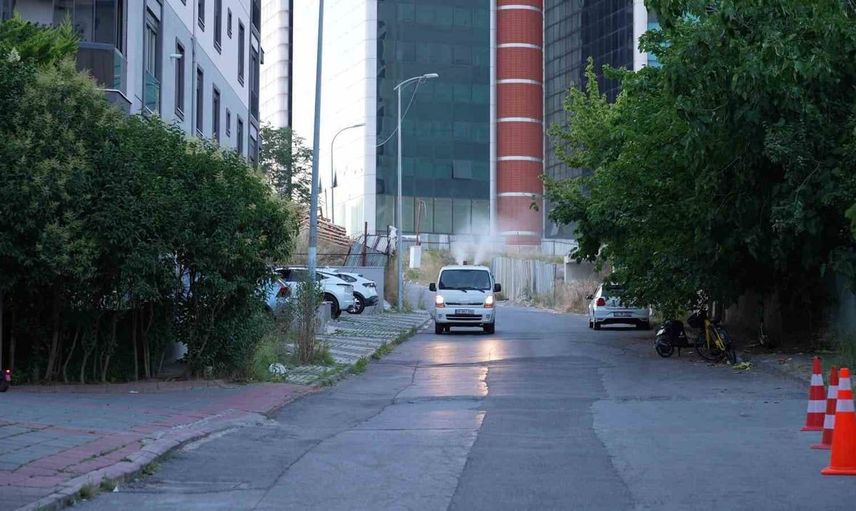 Maltepe'de ilaçlama çalışmaları devam ediyor