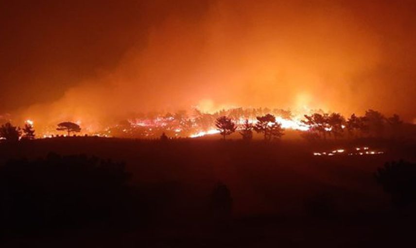 Ankara'da Ormanı Yakmaya Çalışan Örgüt Üyelerine Suçüstü