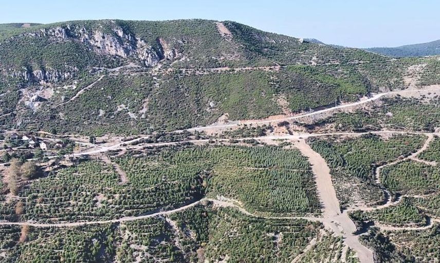 Manisa'da 5 yıl önce yanarak küle dönen yüzlerce hektarlık orman yeniden canlandı!