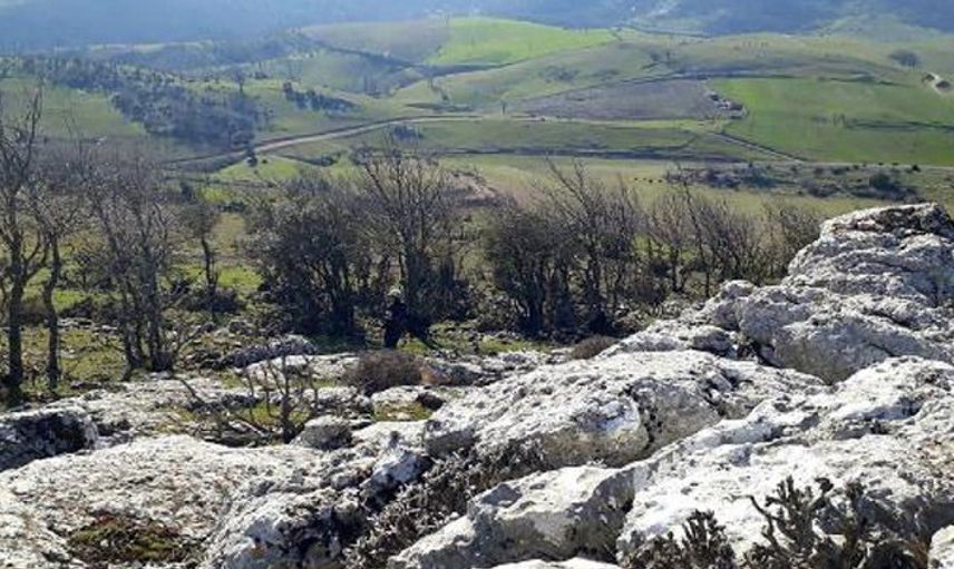 Manisa'da Kaçak Kazı Operasyonunda 3 Kişi Yakalandı