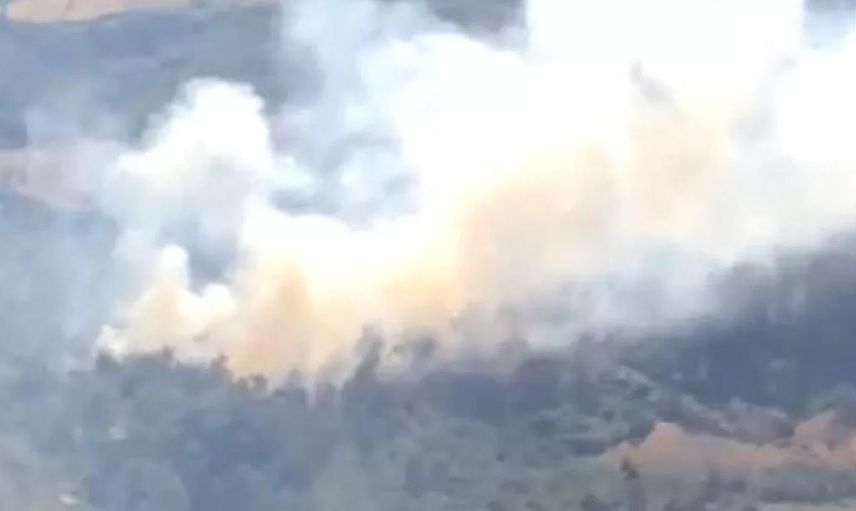 Manisa'da korkutan orman yangını! Ekipler seferber oldu!