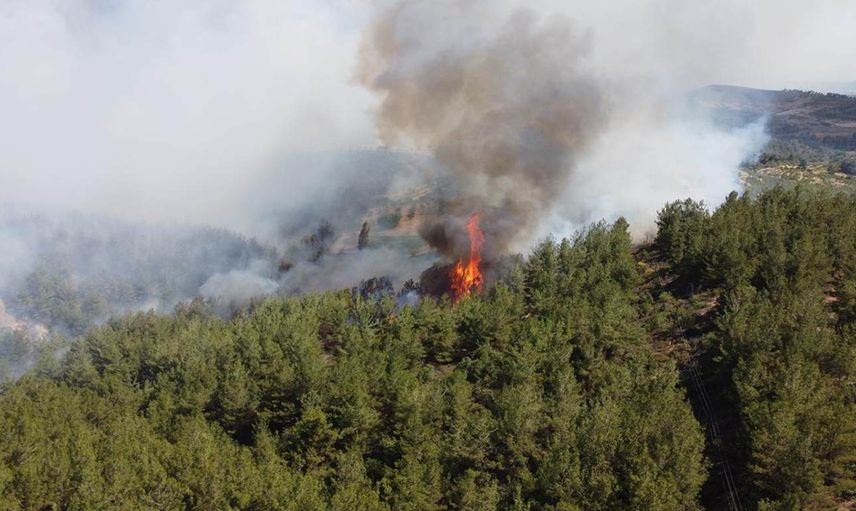 Manisa’da orman yangını: Alevler her yeri sardı