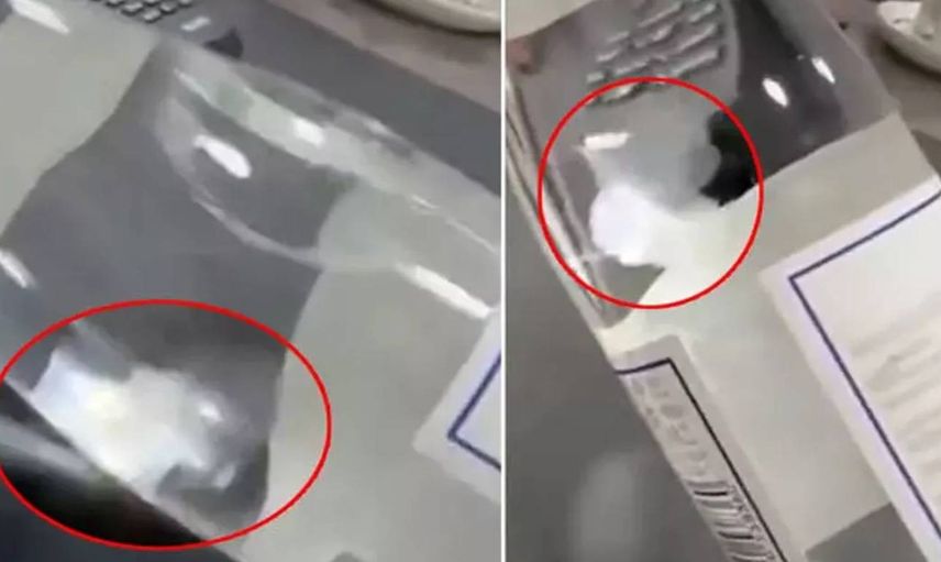 Marketten su alan kadın şok geçirdi: Şişelerin içinden denizanası çıktı