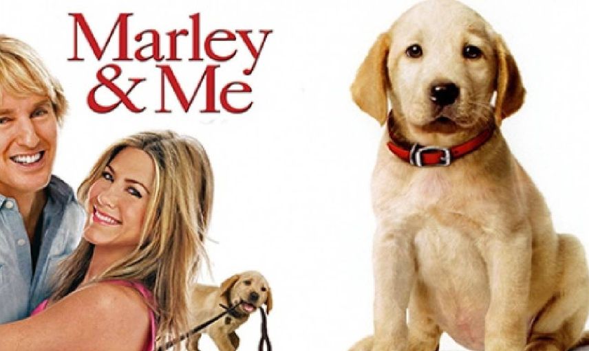 Marley ve Ben film konusu ve oyuncuları