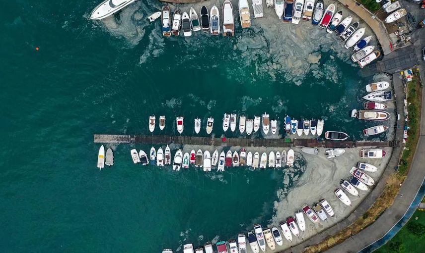 Marmara Denizi tehlikede! havalar ısınınca müsilaj yine ortaya çıkabilir