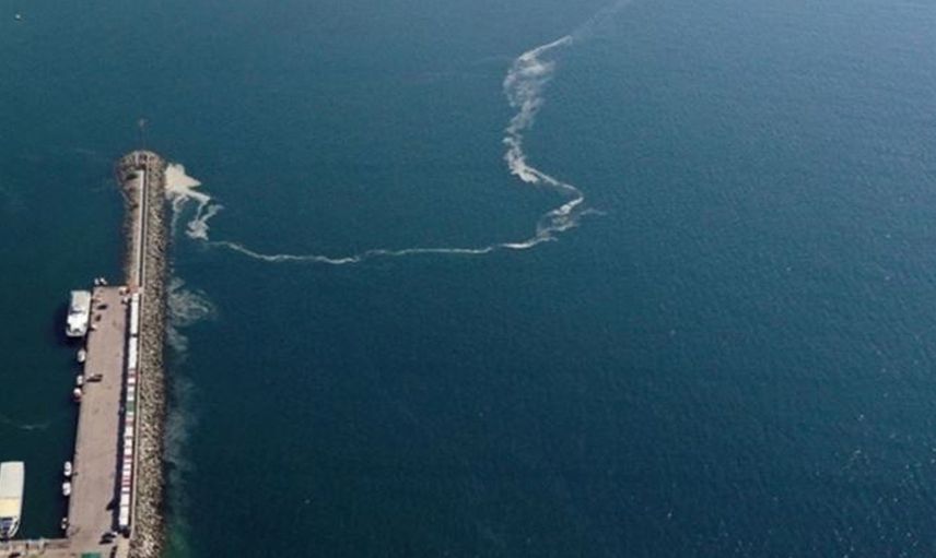 Marmara Denizi'nde 4 Metre Uzunluğunda Dev Köpek Balığı Yakalandı