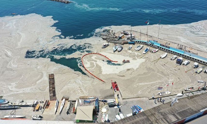 Marmara Denizi'nde korkulan oldu