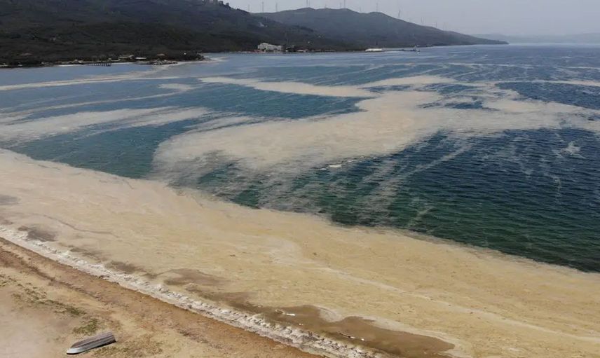 Marmara Denizi’ndeki Deniz Salyaları ABD Basınında