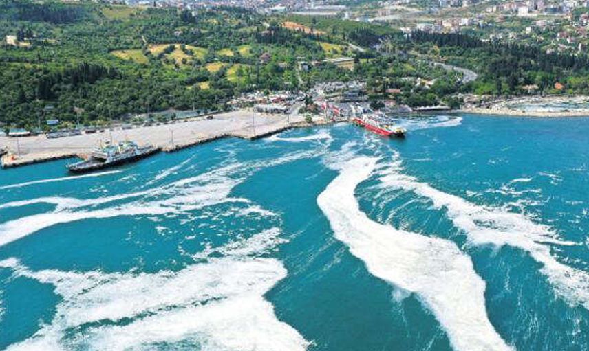 Marmara Denizi'ne Karadeniz’den Organik Karbon Yağıyor