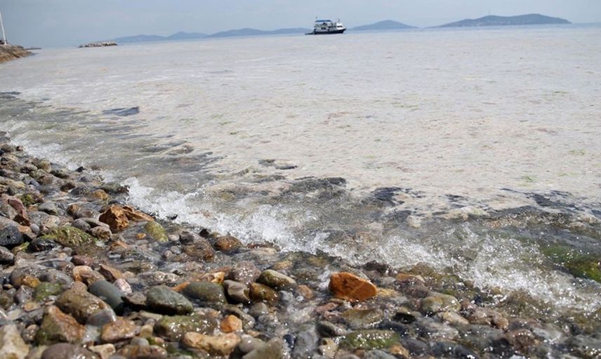 Marmara Denizi'ni Müsilajdan Kurtarmak İçin 3 Aşamalı Yöntem Uygulanmalı!