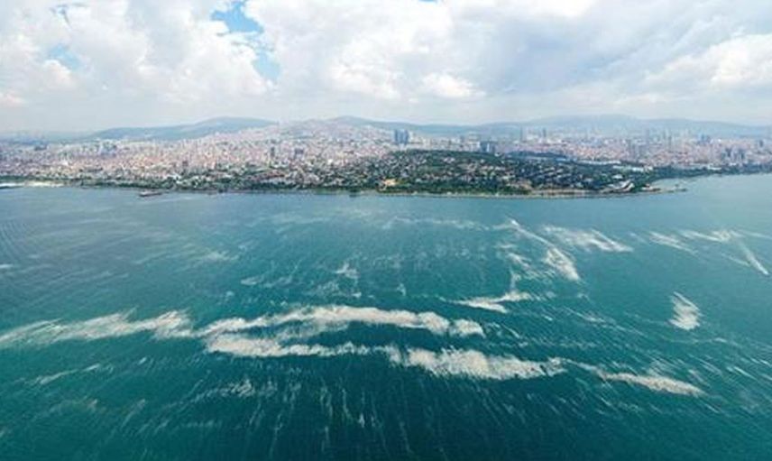 Marmara'dan Kötü Bir Haber Daha! Denizdeki Canlı Yaşamını Bitirebilir