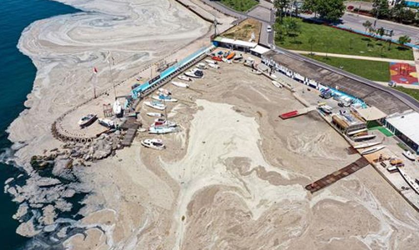Marmara'ya Müsilajın Ardından Oksijen Azlığı Tehdidi