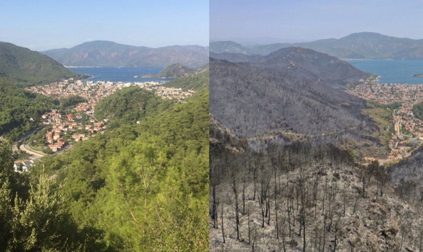 Marmaris İçmeler'den İçimizi Yakan Görüntüler Geldi