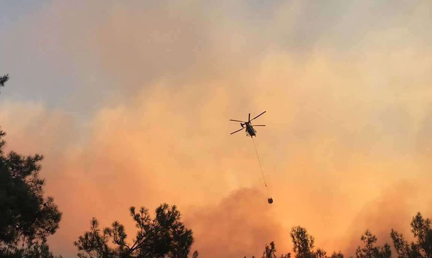 Marmaris ile Köyceğiz'deki Orman Yangınlarına Müdahale Yeniden Başladı
