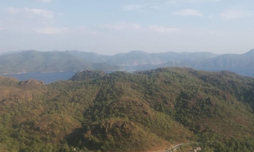 Marmaris'te Orman Yangını: Rüzgarın Etkisiyle  Büyümesinden Korkuluyor!