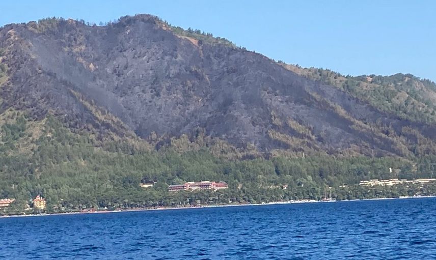 Marmaris'te Yanan Ormanlık Alana Yeni Ağaçlar Dikilecek