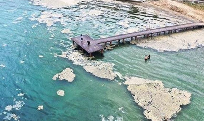 Mavi bayraklı Altın Kemer Plajında Deniz Salyası Kabusu