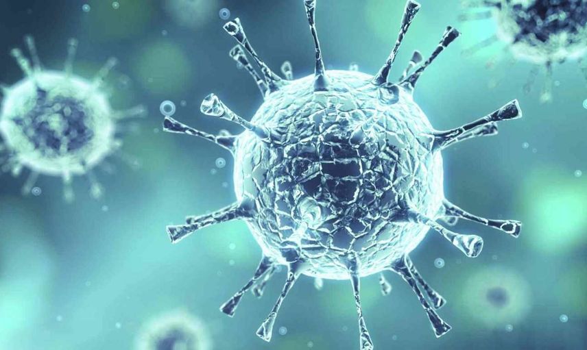 Maymun çiçeği virüsü nedir, nasıl bulaşır? Maymun çiçeği (Monkeypox) belirtileri neler? Maymun çiçeği virüsü tedavisi var mı?