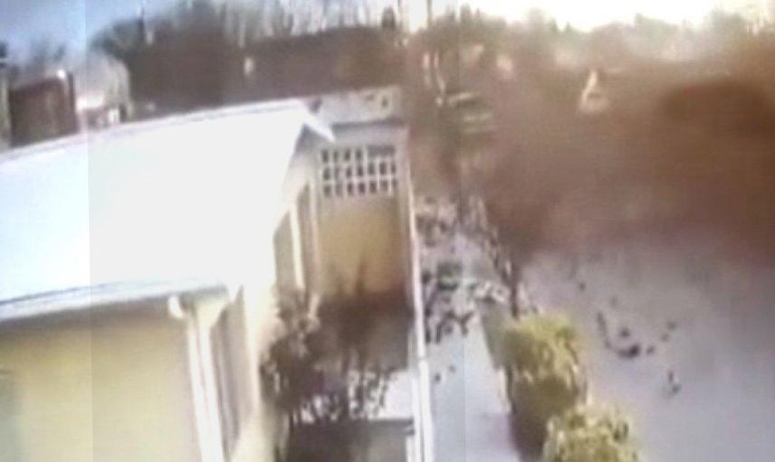 Meksika'da Akıl Almaz Olay! Kuş Sürüsü Bir Anda Yere Çakıldı