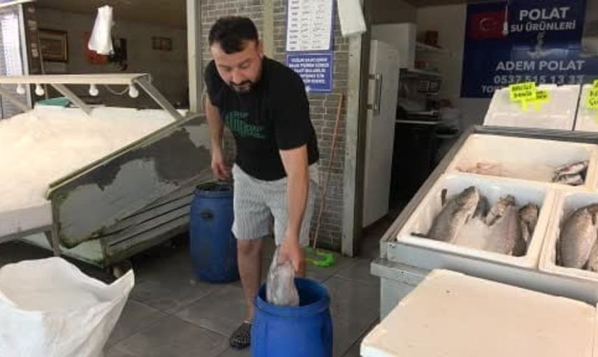 Mersin’de dev yılan balığı tezgahı süsledi