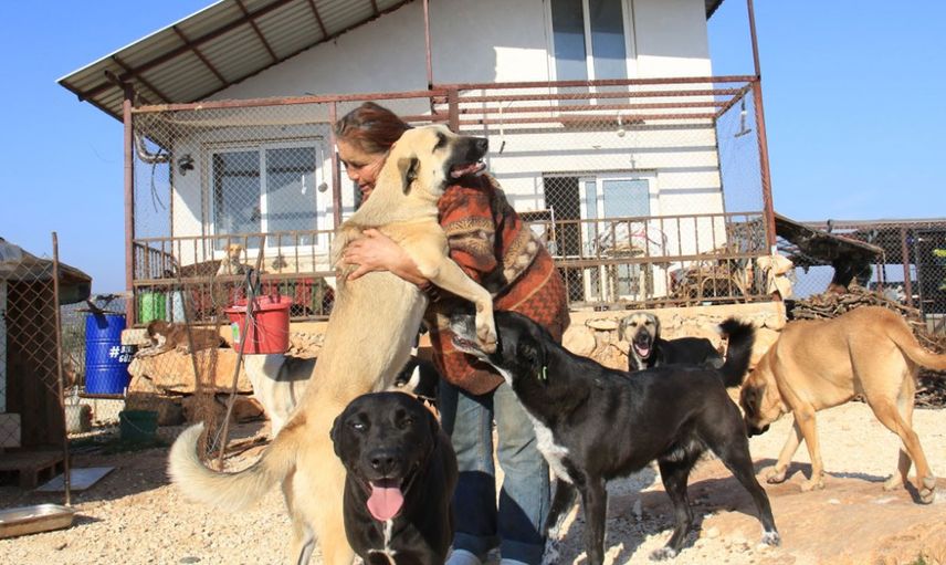 Mersin’de Kalabalık Aile Görenleri Şaşırtıyor: 80 Hayvanıyla Birlikte Yaşıyor