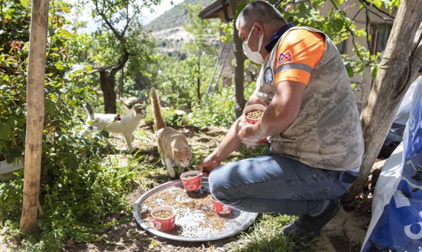 Mersin'de Sokak Hayvanlarına 7 Ton Mama Dağıtıldı