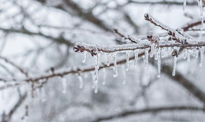 Meteoroloji Genel Müdürlüğü 12 Şubat Hava Durumu Tahmin Raporunu Açıkladı: Buzlanma Ve Don Uyarısı Yapıldı!