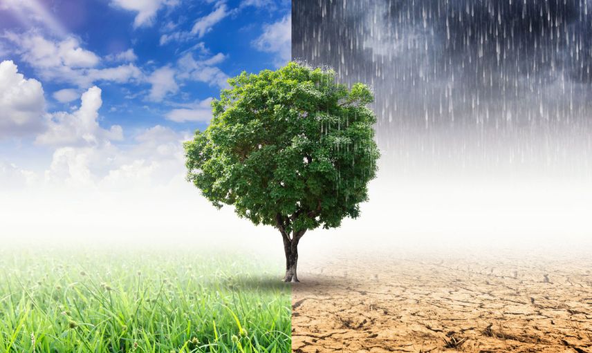 Meteoroloji Genel Müdürlüğü 2024 yılın temasını ‘‘İklim Eyleminin Ön Saflarında’’ olarak belirledi!