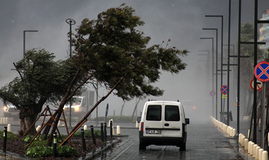 Meteoroloji Uyarmıştı! Antalya’da Etkili Olan Şiddetli Fırtına Ağaçları Devirdi!